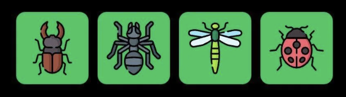 FLIES Daily Combo 16 May 2025